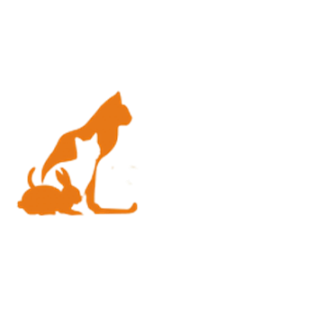 dok3