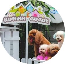 rumah guguk1