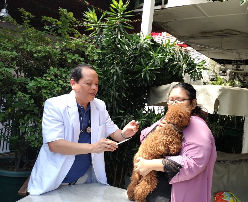 dokter hewan di bandung